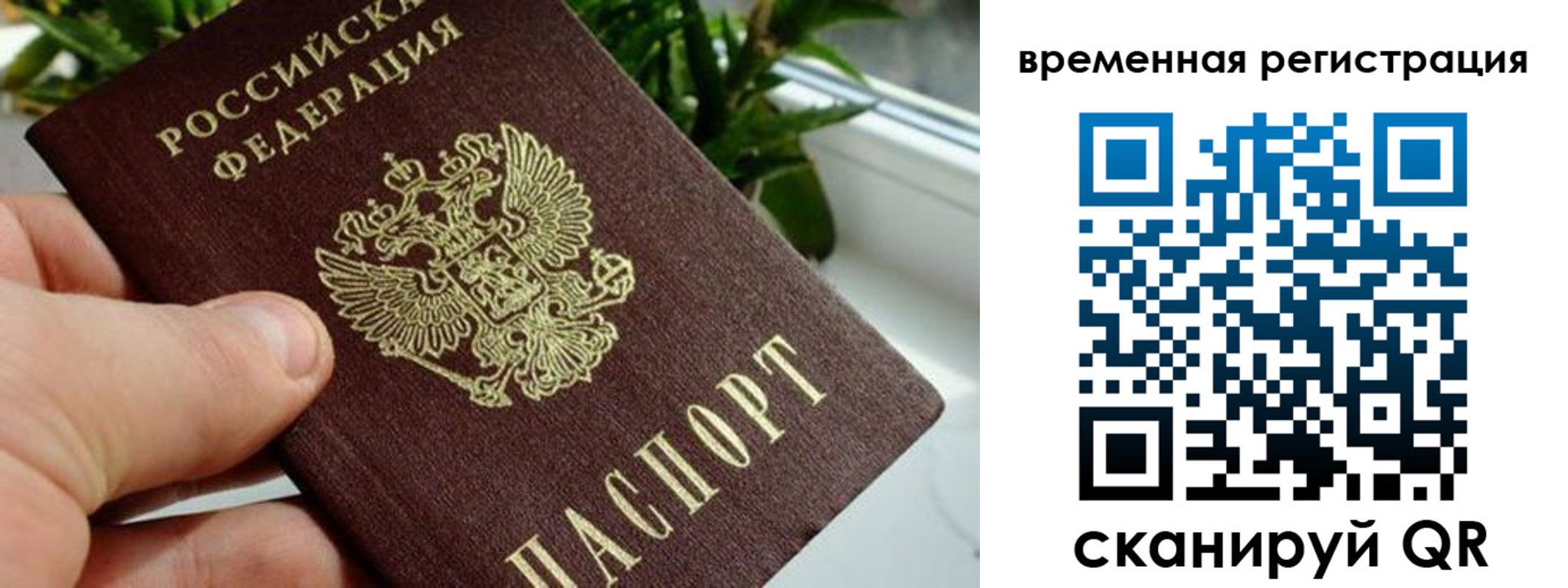 прописка поиск в Свободном